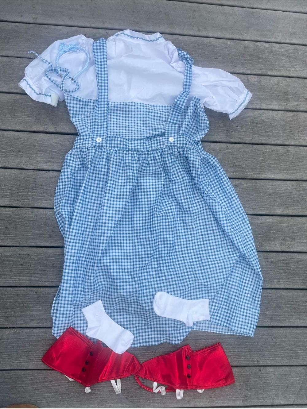 Dorothy Gayle Wizard of OZ Plus Size Costume Women’s 3X shoe socks hair